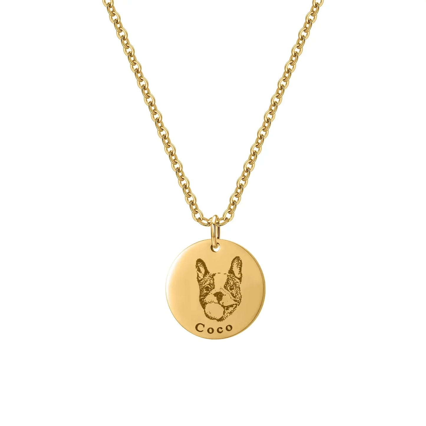 Engraved Disc Pet Portrait Name Necklace Product vendor 42.99 Animal Heroes Gold / 20"/50cm